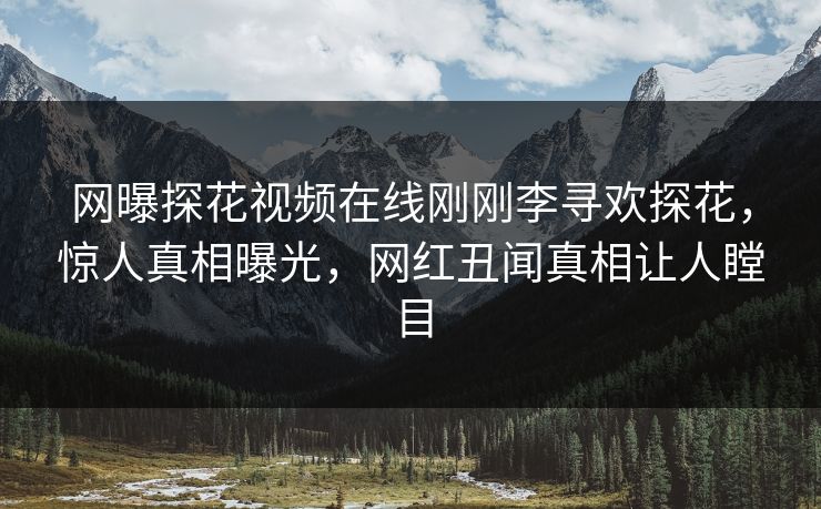 网曝探花视频在线刚刚李寻欢探花，惊人真相曝光，网红丑闻真相让人瞠目