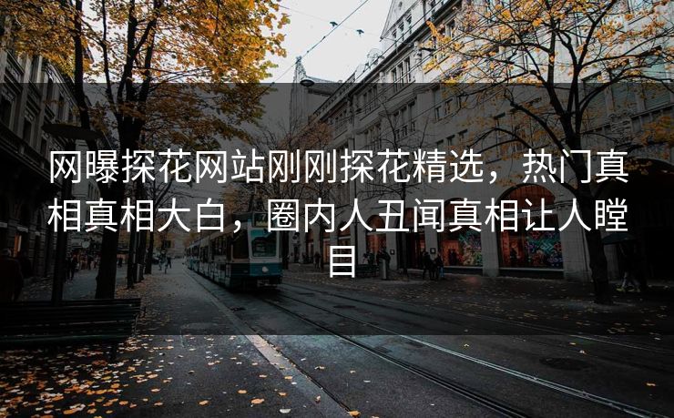 网曝探花网站刚刚探花精选，热门真相真相大白，圈内人丑闻真相让人瞠目