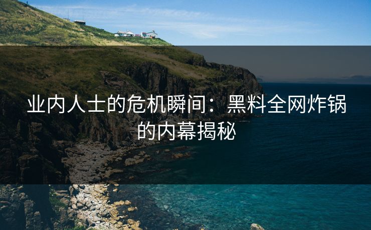 业内人士的危机瞬间：黑料全网炸锅的内幕揭秘  第1张