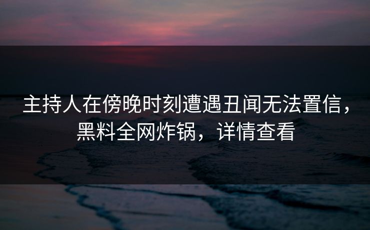主持人在傍晚时刻遭遇丑闻无法置信，黑料全网炸锅，详情查看  第1张