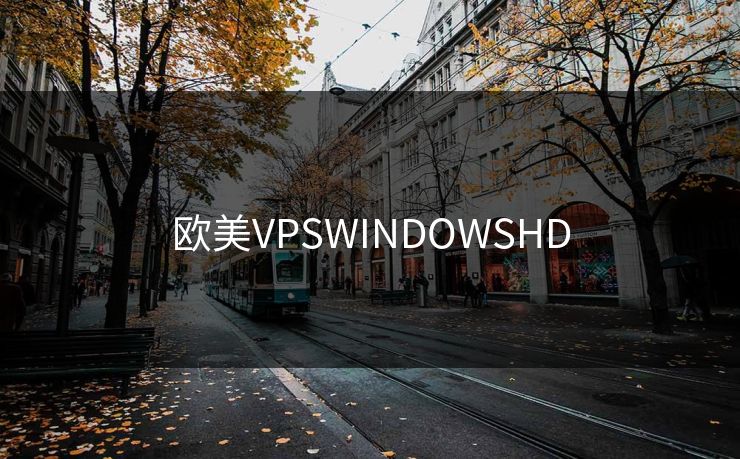 欧美VPSWINDOWSHD  第1张