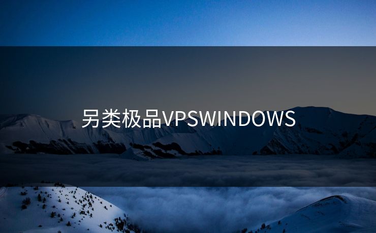 另类极品VPSWINDOWS
