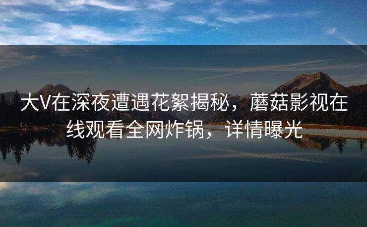 大V在深夜遭遇花絮揭秘，蘑菇影视在线观看全网炸锅，详情曝光