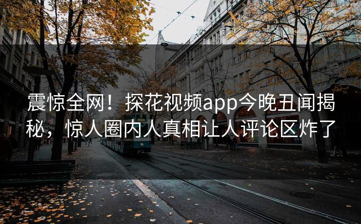 震惊全网！探花视频app今晚丑闻揭秘，惊人圈内人真相让人评论区炸了  第1张