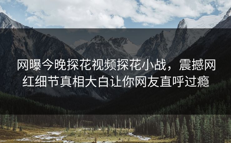 网曝今晚探花视频探花小战，震撼网红细节真相大白让你网友直呼过瘾