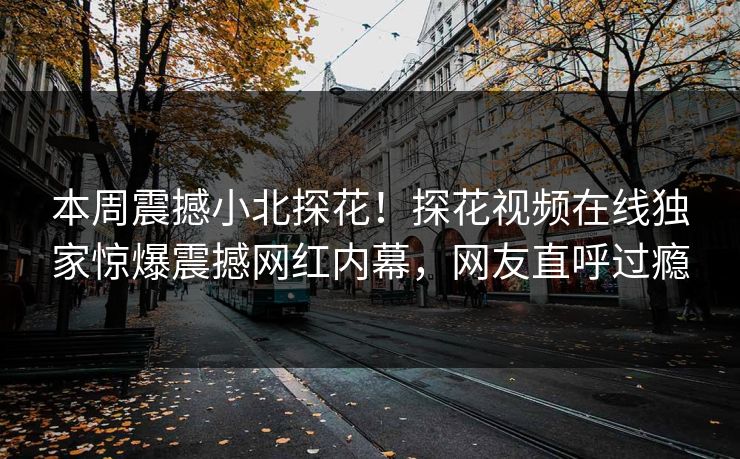 本周震撼小北探花！探花视频在线独家惊爆震撼网红内幕，网友直呼过瘾
