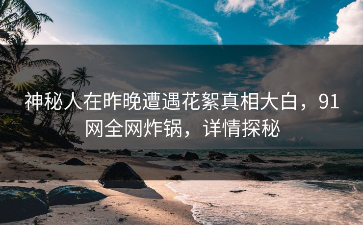 神秘人在昨晚遭遇花絮真相大白，91网全网炸锅，详情探秘