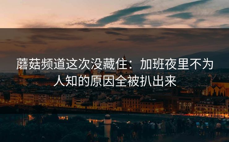 蘑菇频道这次没藏住:加班夜里不为人知的原因全被扒出来